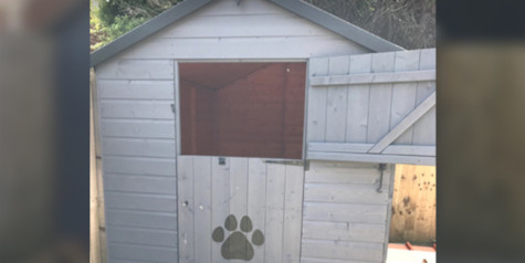 A picture containing a shed with stable door