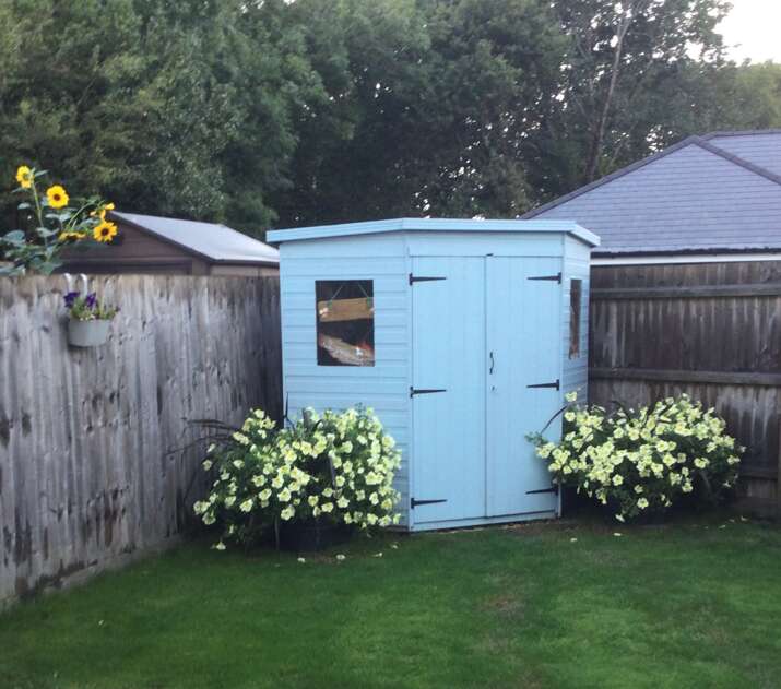 Tiger Deluxe Corner Shed painted blue in garden with flowers and wooden fence