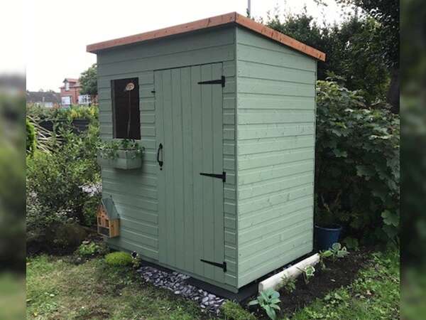 Tiger Shiplap Pent Shed painted in green in garden setting with grass and plants
