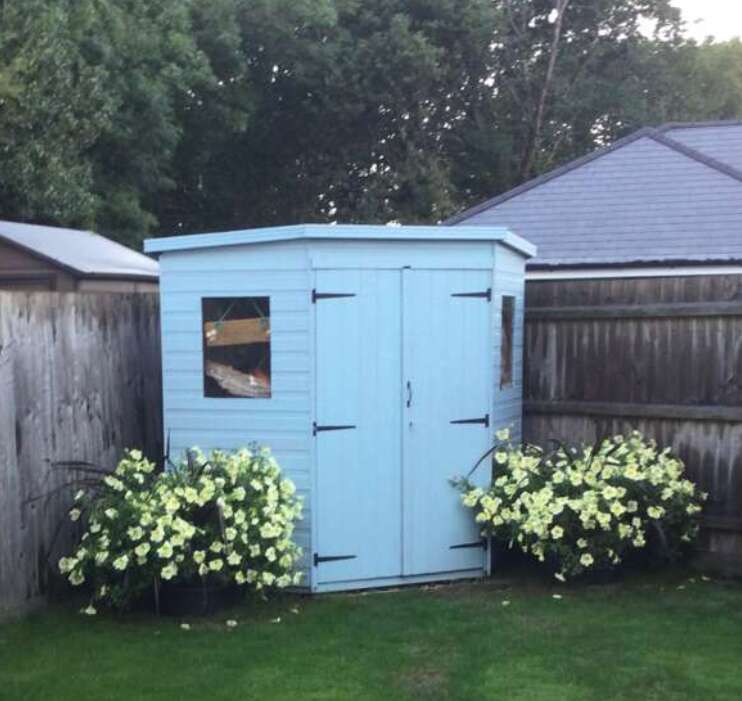 Tiger Deluxe Corner Garden Shed, painted in blue, yellow flowers, garden fence, grass