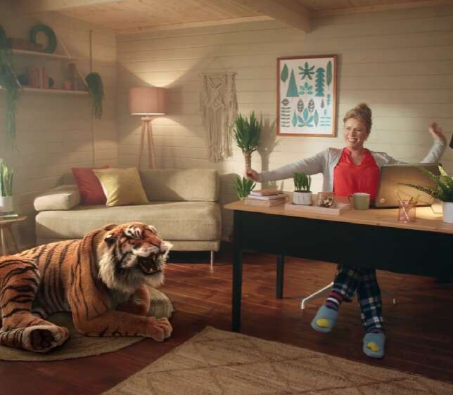 Tiger Sheds Tv Ad, Eric the Tiger, log cabin, interior, lady at desk, home office