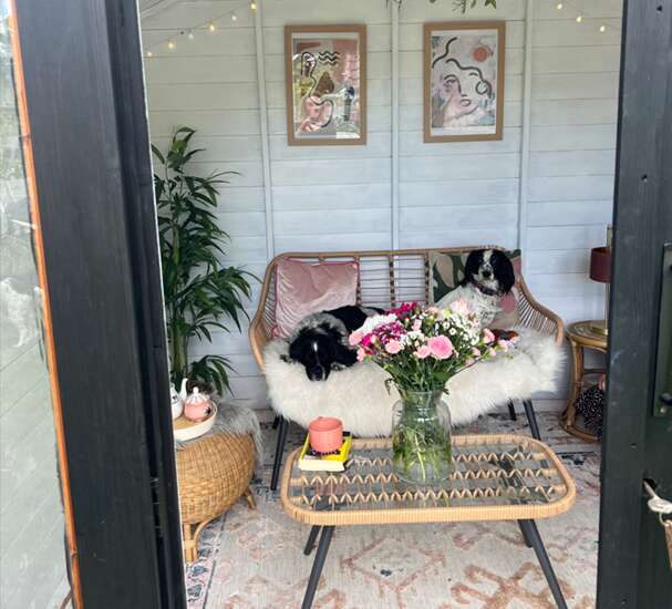 Tiger Contemporary Summerhouse with two dogs on sofa with contemporary wicker furniture and white fur rug