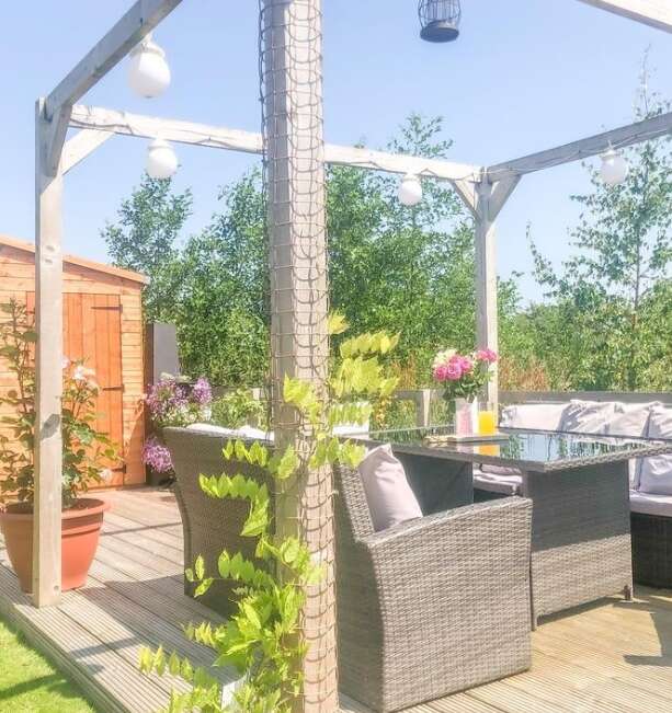 A picture containing the Tiger Garden Pergola with decking, wicker garden furniture, grass, plants and ivy trailing up the pergola
