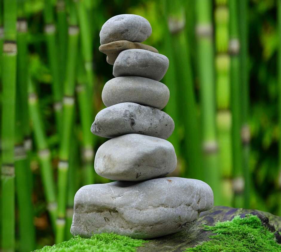 A stack of rocks in front of bamboo, moss