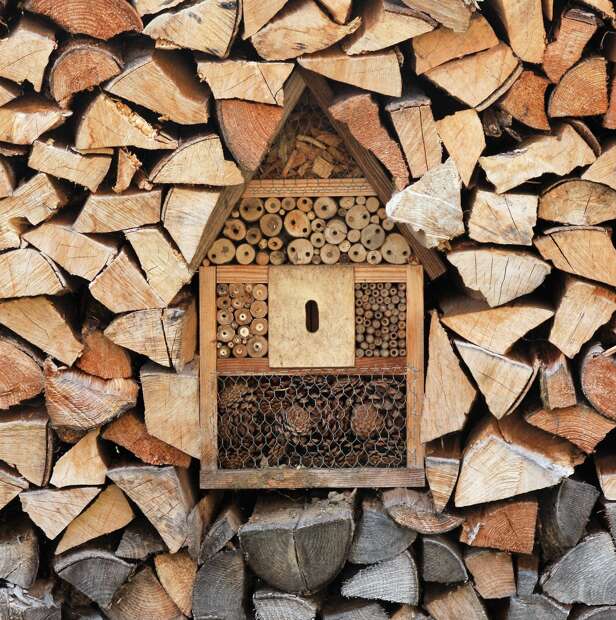 A picture containing a bug hotel in log plie with pinecones