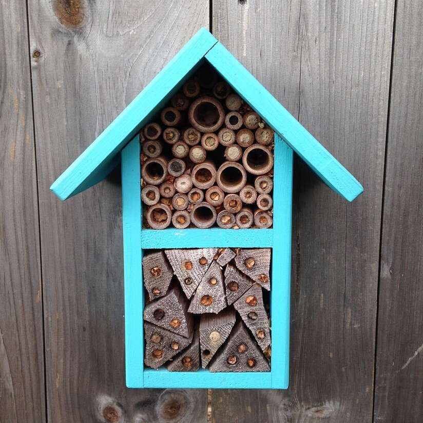 A bee house on the side of a wooden garden building, wildlife retreat