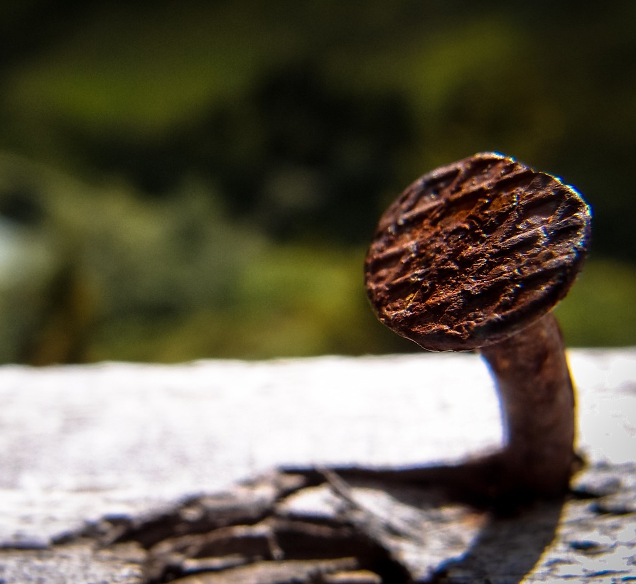A rusty nail in a log