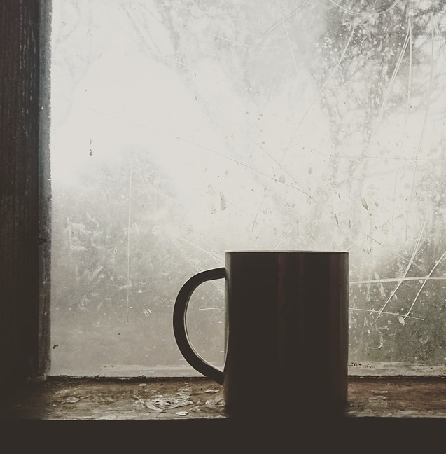 A picture containing a mug by old shed window