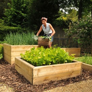 Wooden Raised Beds 