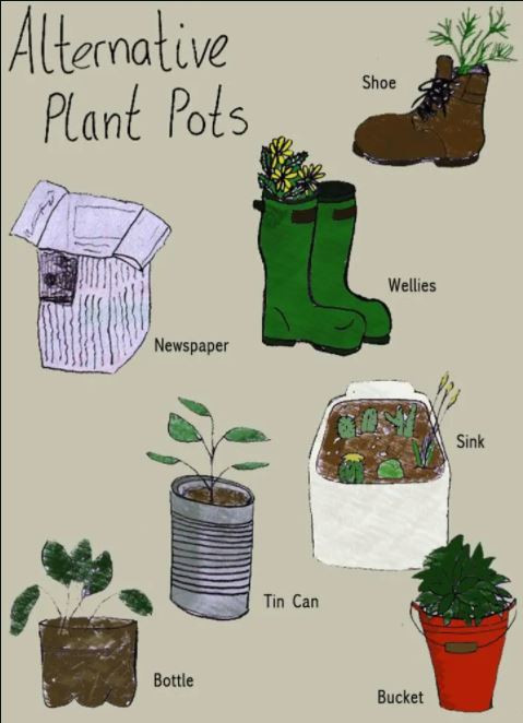 Alternative plant pot hand-drawn graphic