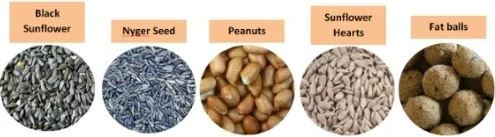 5 different types of birdseed