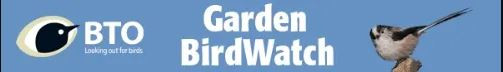 BTO garden birdwatch