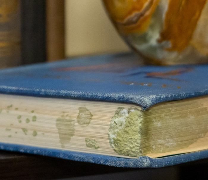 Mouldy book