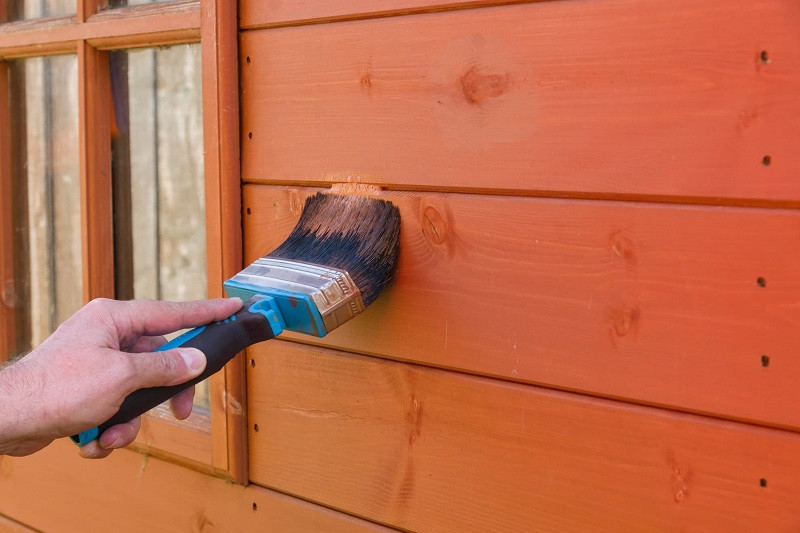 Painting a shed