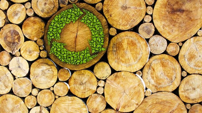 Timber with green sustainable symbol on one log
