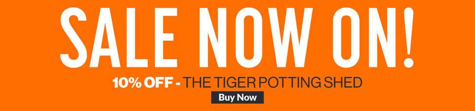 Tiger Sale potting