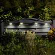 Solar Lights | 10L Premier Solar Lights