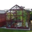 Elite 6ft Wide Craftsman Greenhouse