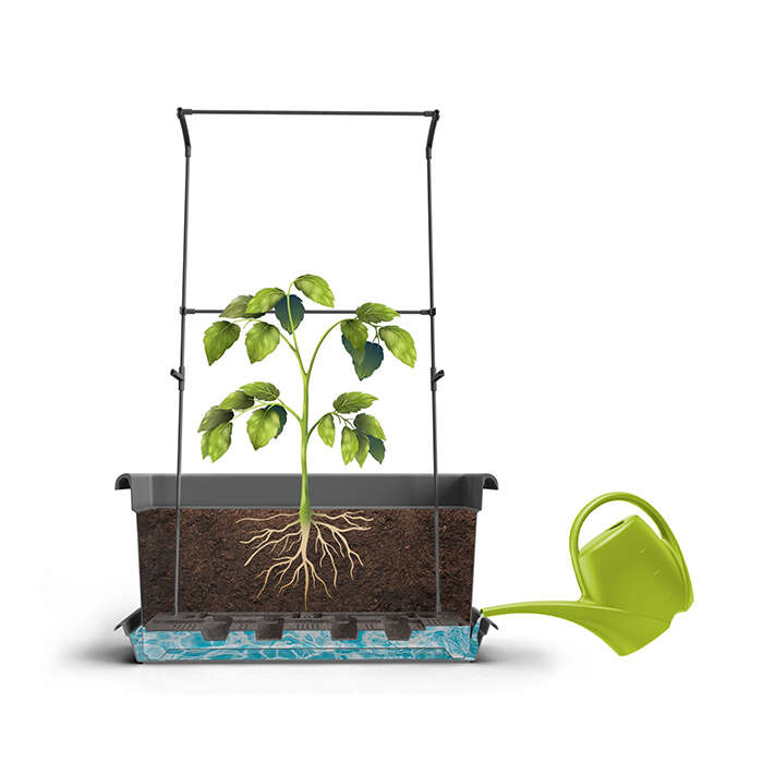Self-watering Mobile Living Wall Kit